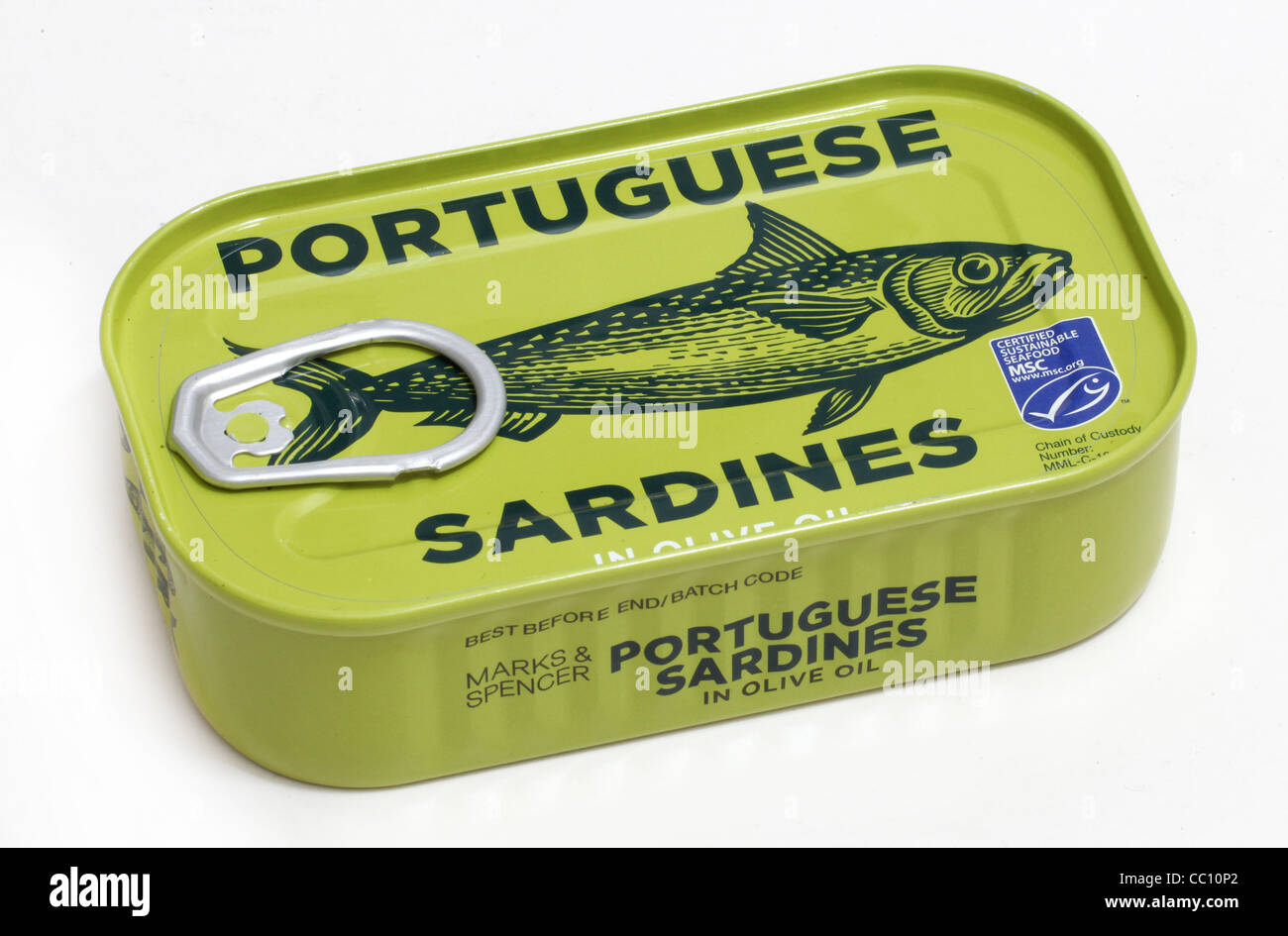 Una scatoletta di sardine portoghese in olio di oliva. Foto Stock