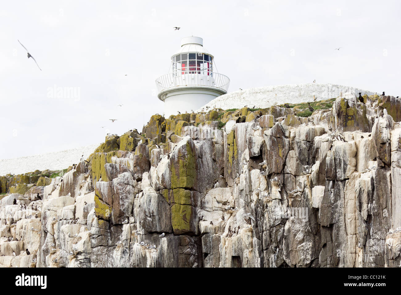 Il faro a farne le isole Foto Stock