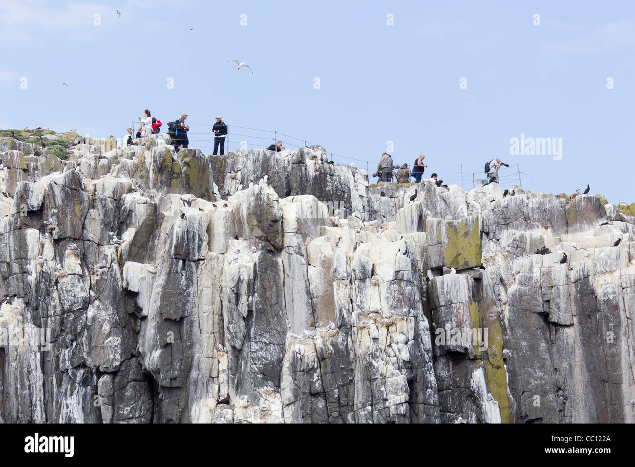 Farne isole e turisti Foto Stock