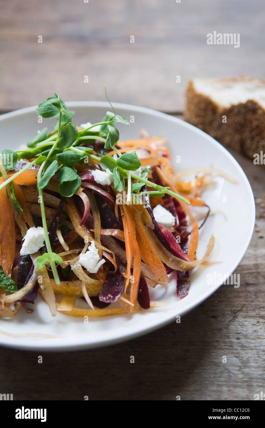 Carota Insalata con formaggio di capra e germogli di pisello. Foto Stock