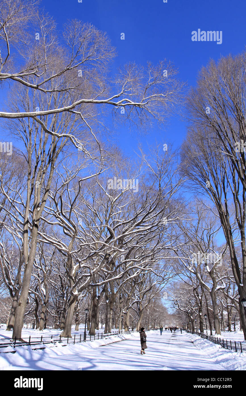In inverno la neve a Central Park, Manhattan New York City Foto Stock