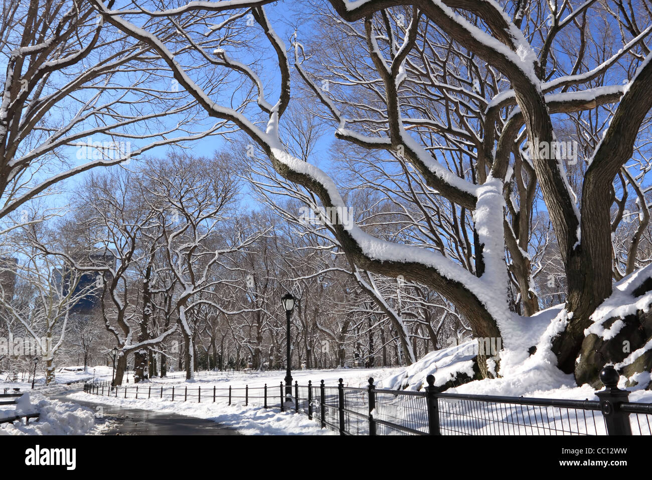 In inverno la neve a Central Park, Manhattan New York City Foto Stock