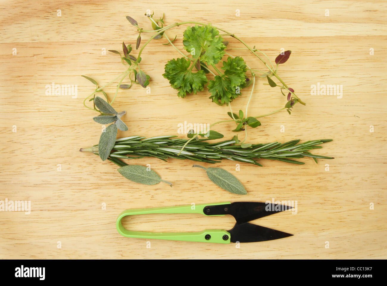 Taglio fresco erbe con un paio di forbici in miniatura su una tavola di legno Foto Stock