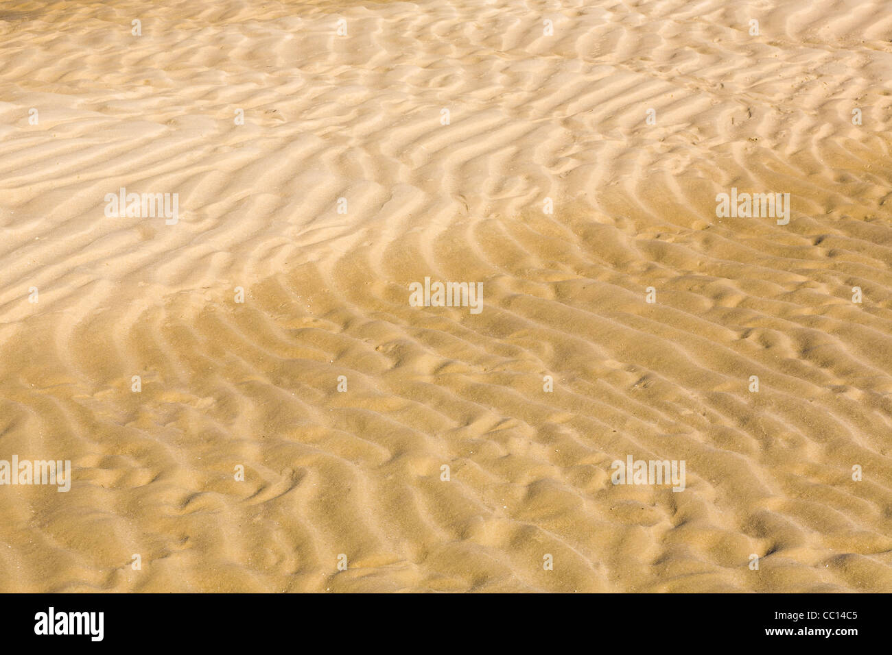 Ripples in sabbia a Bold Point State Park Florida sul Golfo del Messico Foto Stock