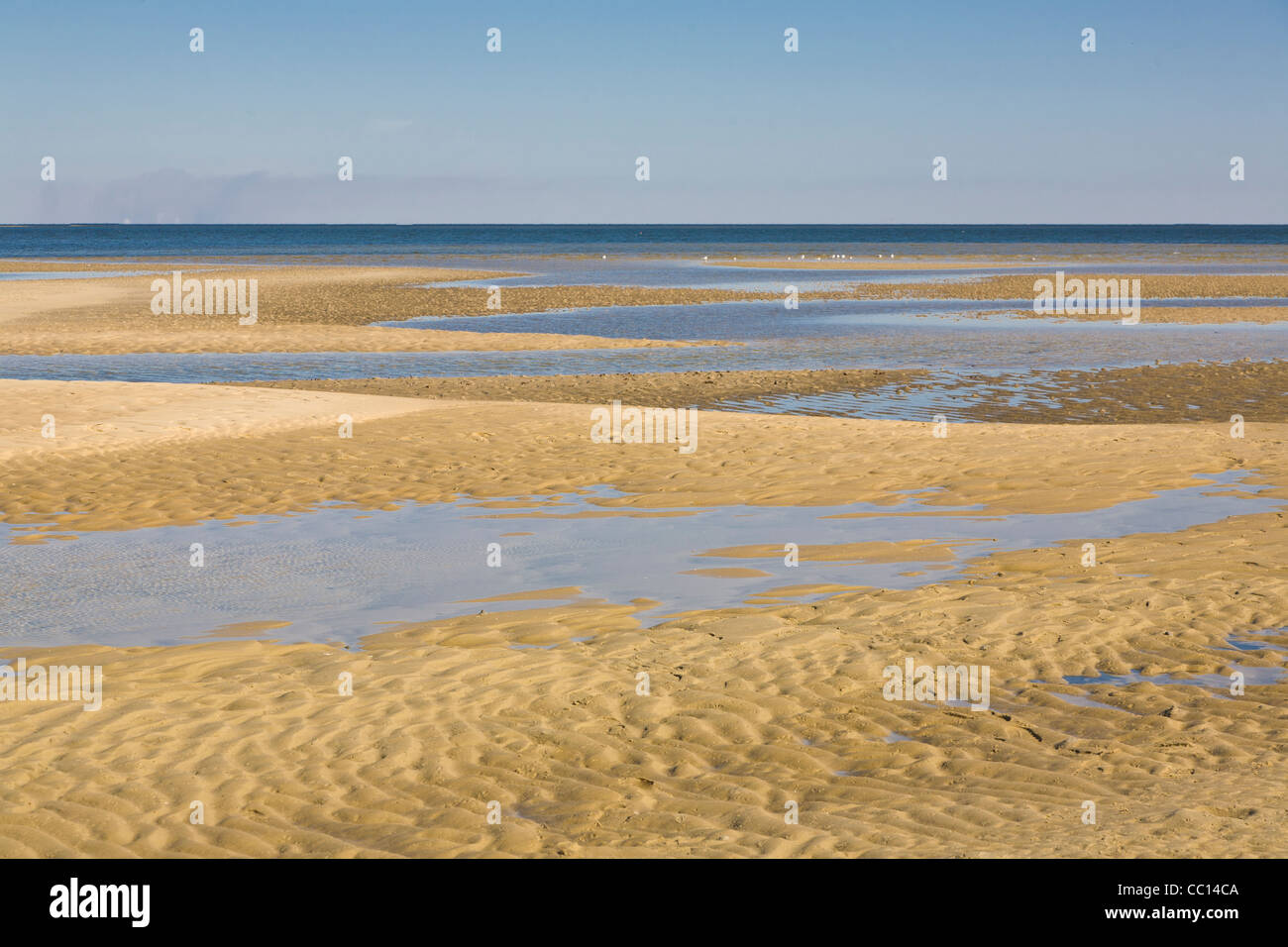 Ripples in sabbia a Bold Point State Park Florida sul Golfo del Messico Foto Stock