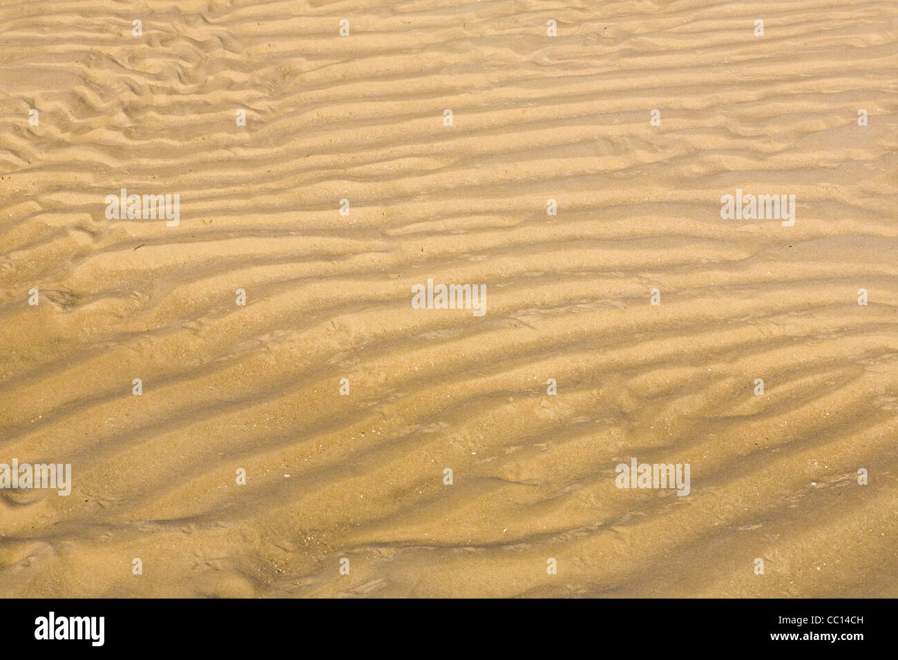 Ripples in sabbia a Bold Point State Park Florida sul Golfo del Messico Foto Stock
