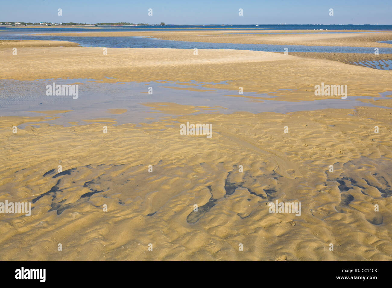 Ripples in sabbia a Bold Point State Park Florida sul Golfo del Messico Foto Stock