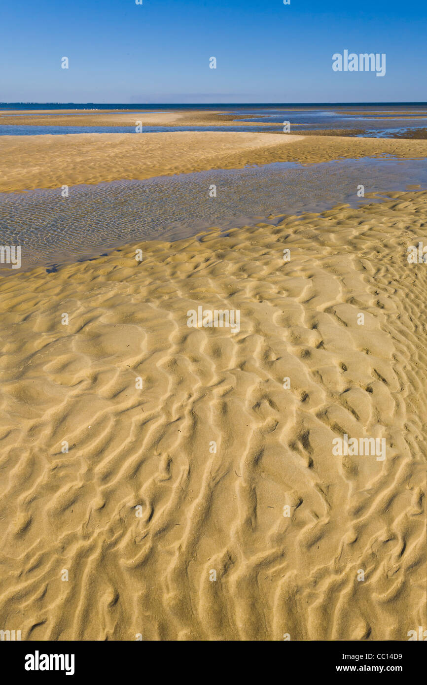Ripples in sabbia a Bold Point State Park Florida sul Golfo del Messico Foto Stock