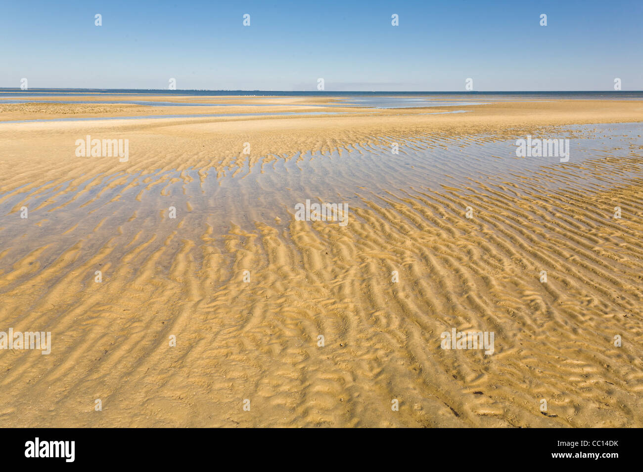 Ripples in sabbia a Bold Point State Park Florida sul Golfo del Messico Foto Stock