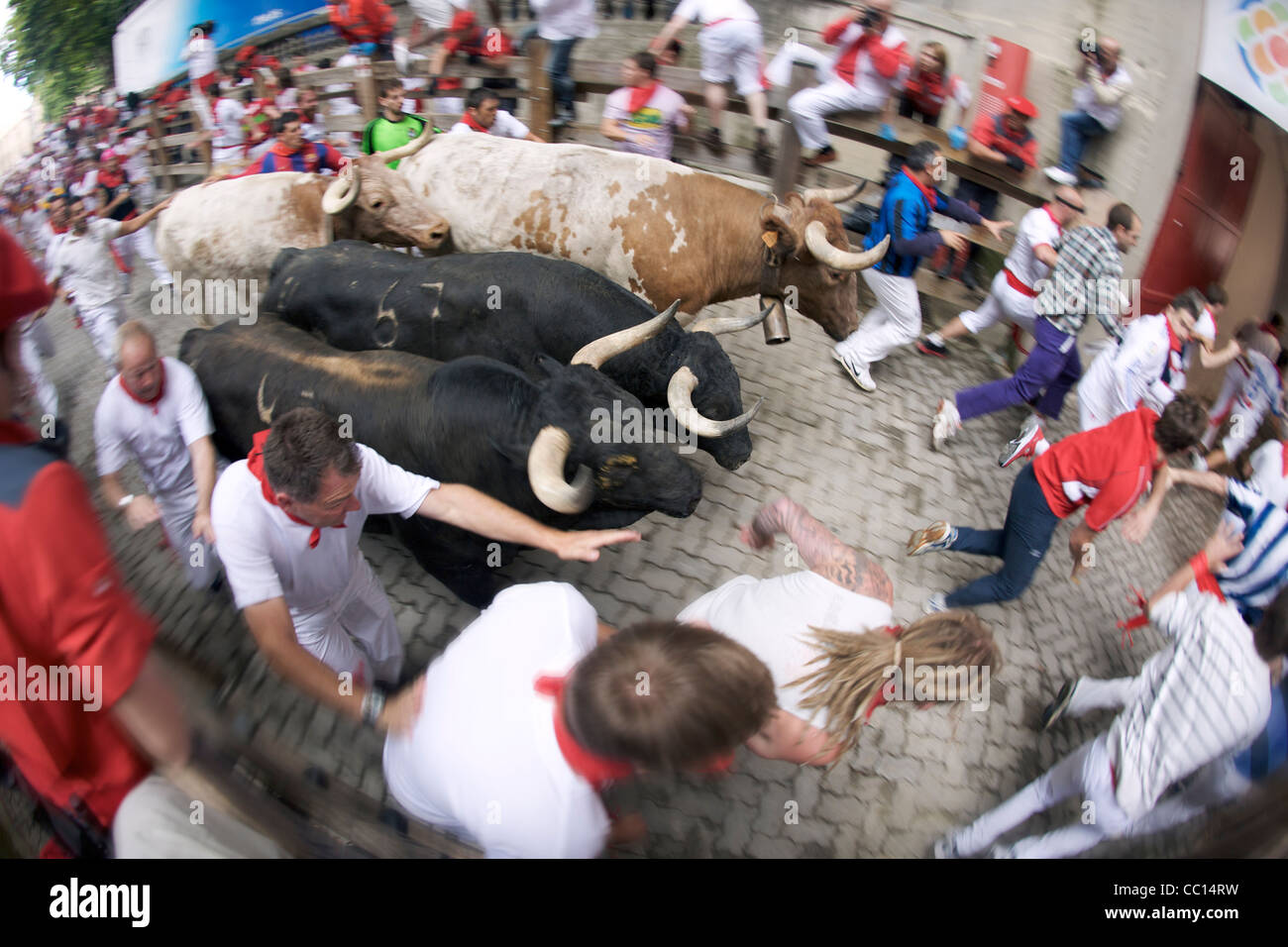 La folla in esecuzione con i tori durante il festival annuale di San Fermin (aka la corsa dei tori) in Pamplona, Spagna. Foto Stock