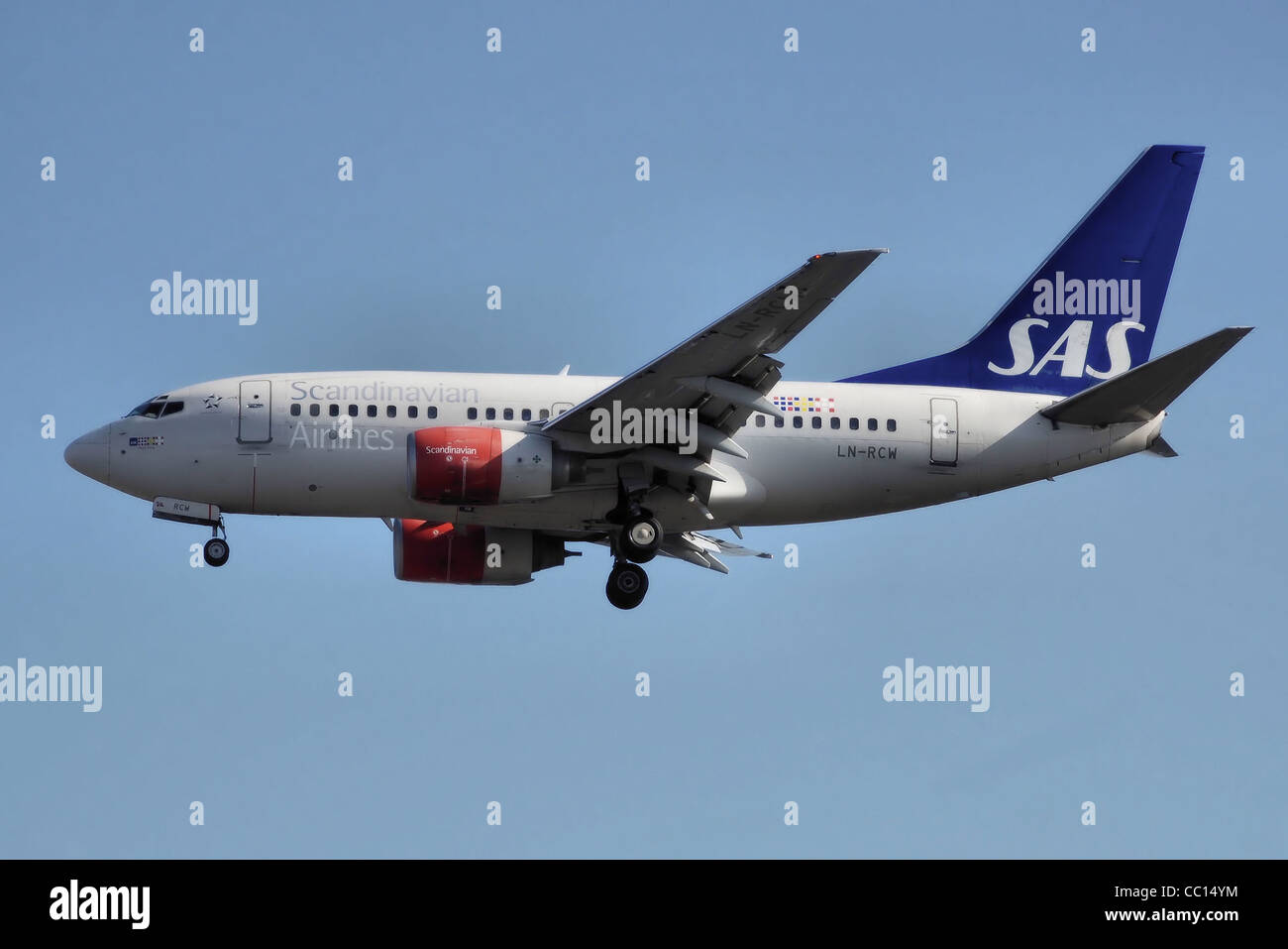 SAS Scandinavian Airlines Boeing 737-600 (LN-RCW) atterra all'Aeroporto Heathrow di Londra, Inghilterra. Foto Stock