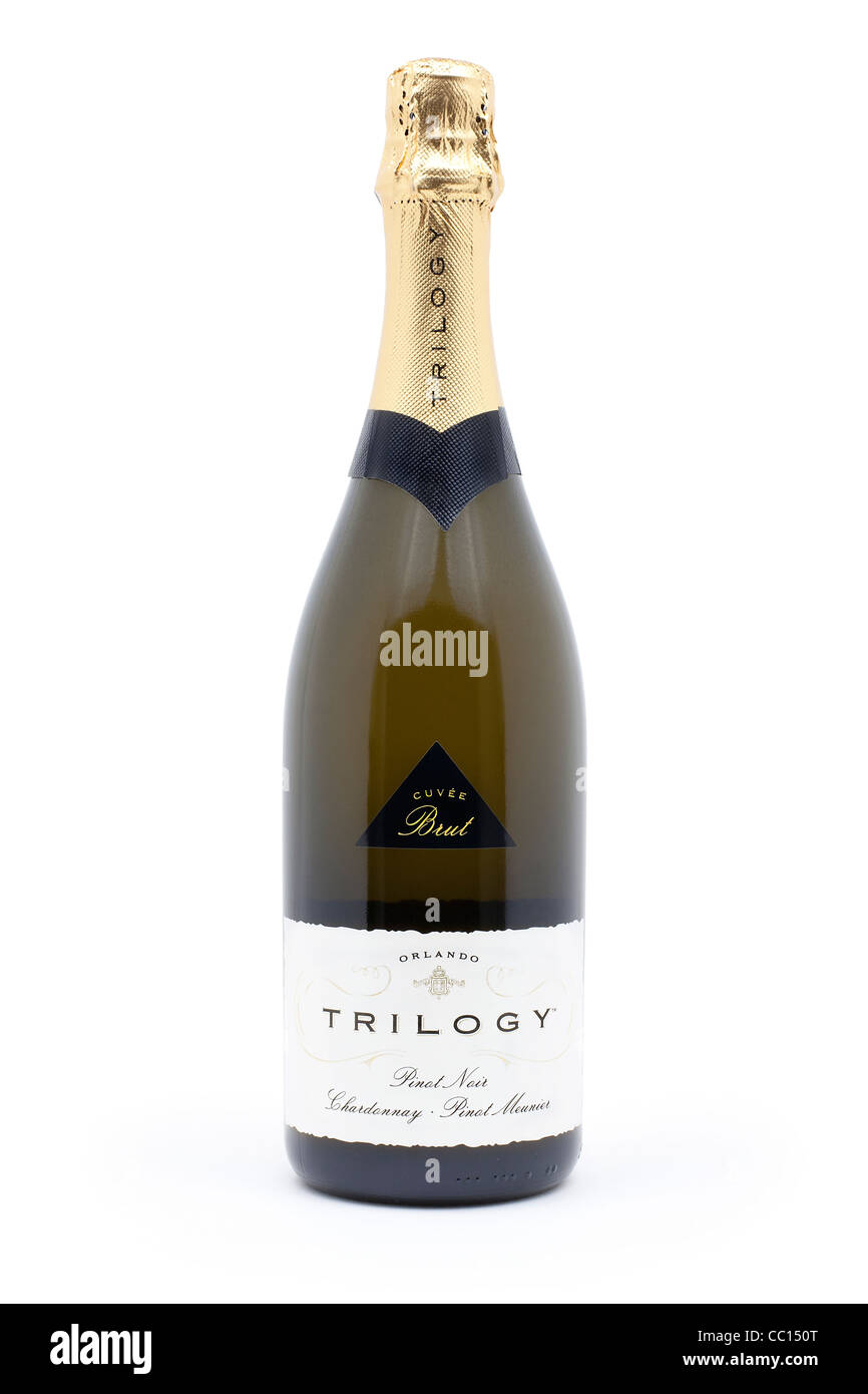 Celebrare la trilogia brut champagne vino prodotto retail colpi contro il bianco puro sfondo fotografati in studio di illuminazione. Foto Stock Celebrare la trilogia brut champagne vino prodotto retail colpi contro il bianco puro sfondo fotografati in studio di illuminazione. Foto Stock