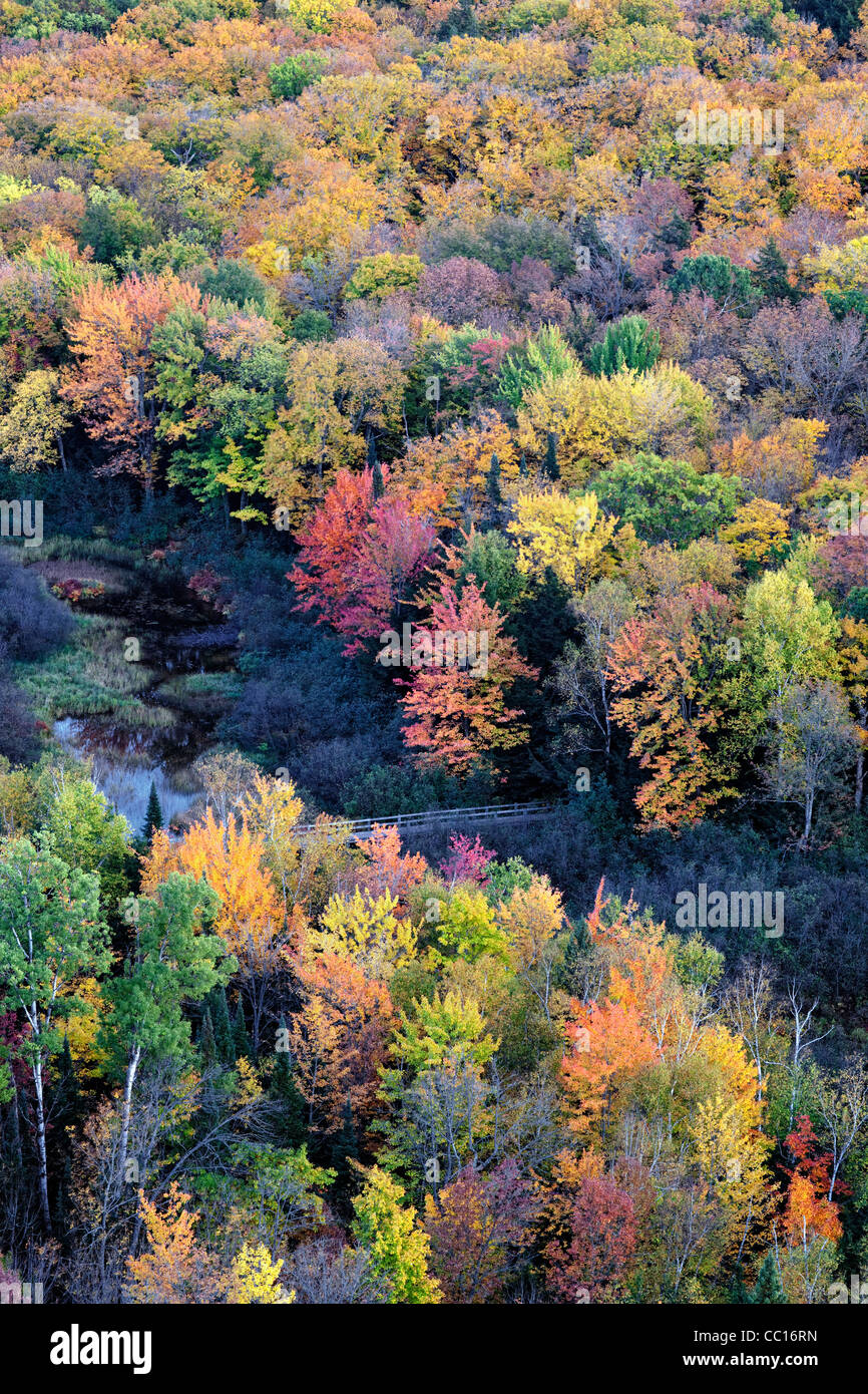 La carpa del fiume e la tettoia di autunno di Ottawa National Forest e Porcupine montagne del Parco Statale nella Penisola Superiore del Michigan.. Foto Stock