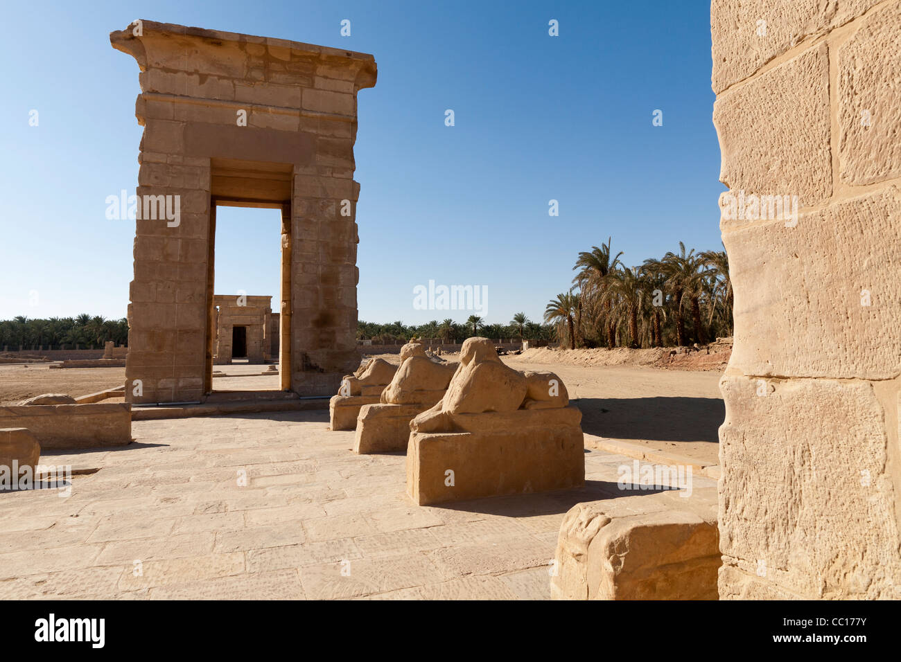 Vista del viale di Sphinx presso il Tempio di Hibis, l'antica capitale di Kharga Oasis, deserto occidentale d'Egitto Foto Stock