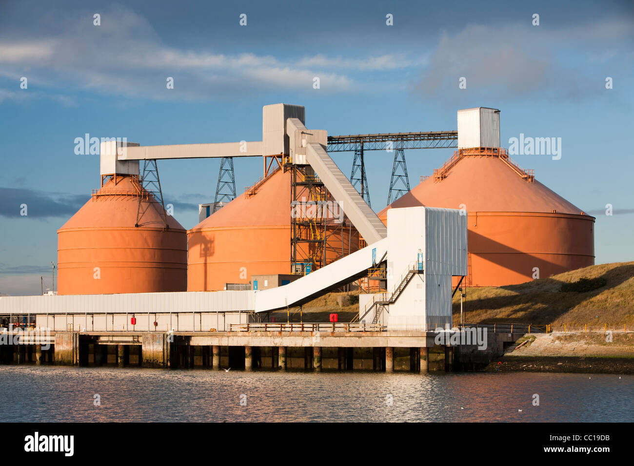 Silos di stoccaggio su dockside a Blyth sulla costa Nord Est, UK. Foto Stock