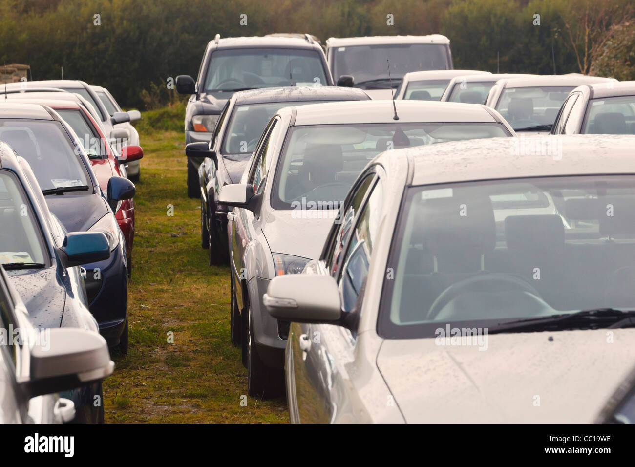 Auto parcheggiate in attesa di essere venduto, Dunmaway, County Cork, Repubblica di Irlanda. Foto Stock