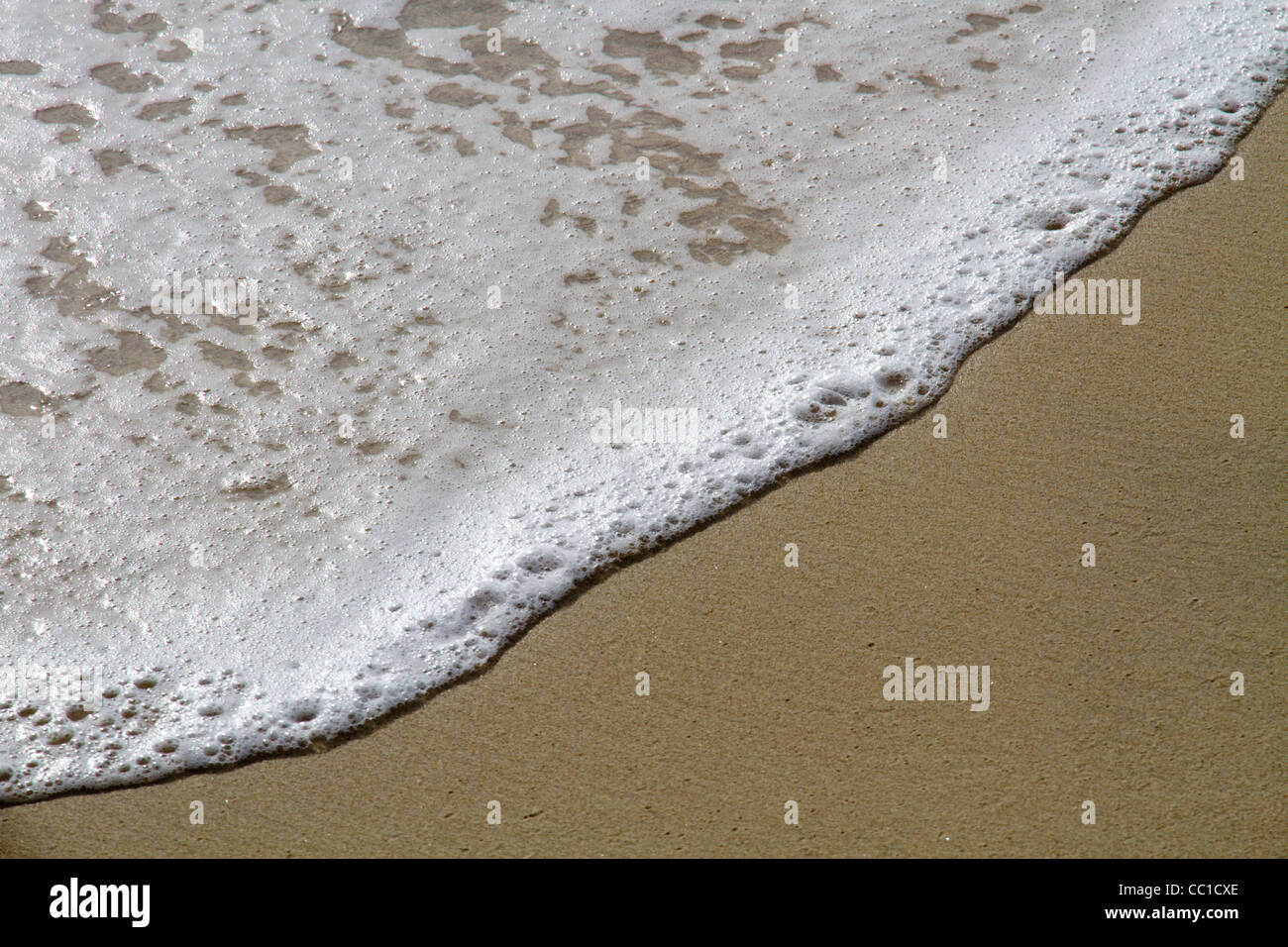 Acqua di mare litorale di schiuma Foto Stock