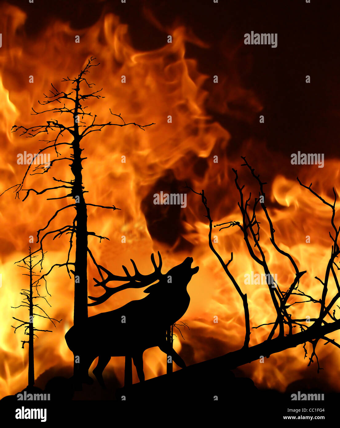 Illustrazione vettoriale del cervo in funzione lontano dal fuoco in legno Foto Stock