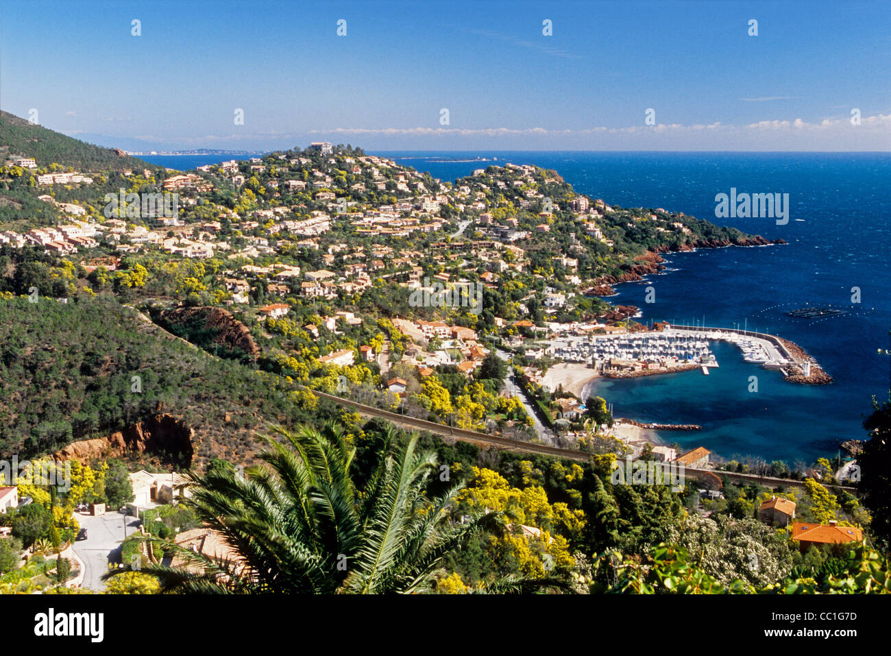 Vista aerea del Le Trayas nell'Esterel con le mimose blossom flower Foto Stock