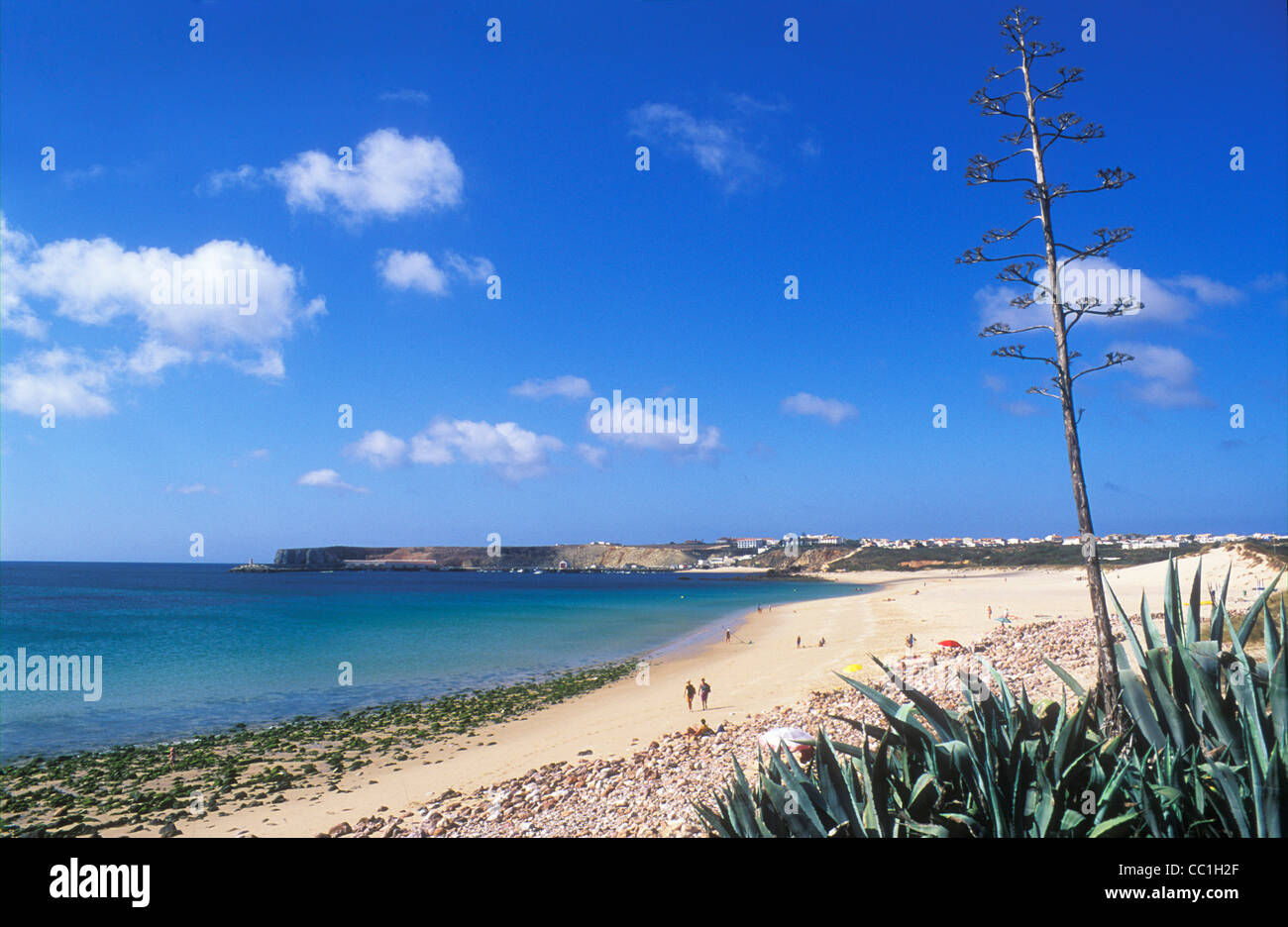 Spiaggia di Algarve in estate sole spiaggia di Martinhal vicino a Sagres Algarve Portogallo UE Europa Foto Stock