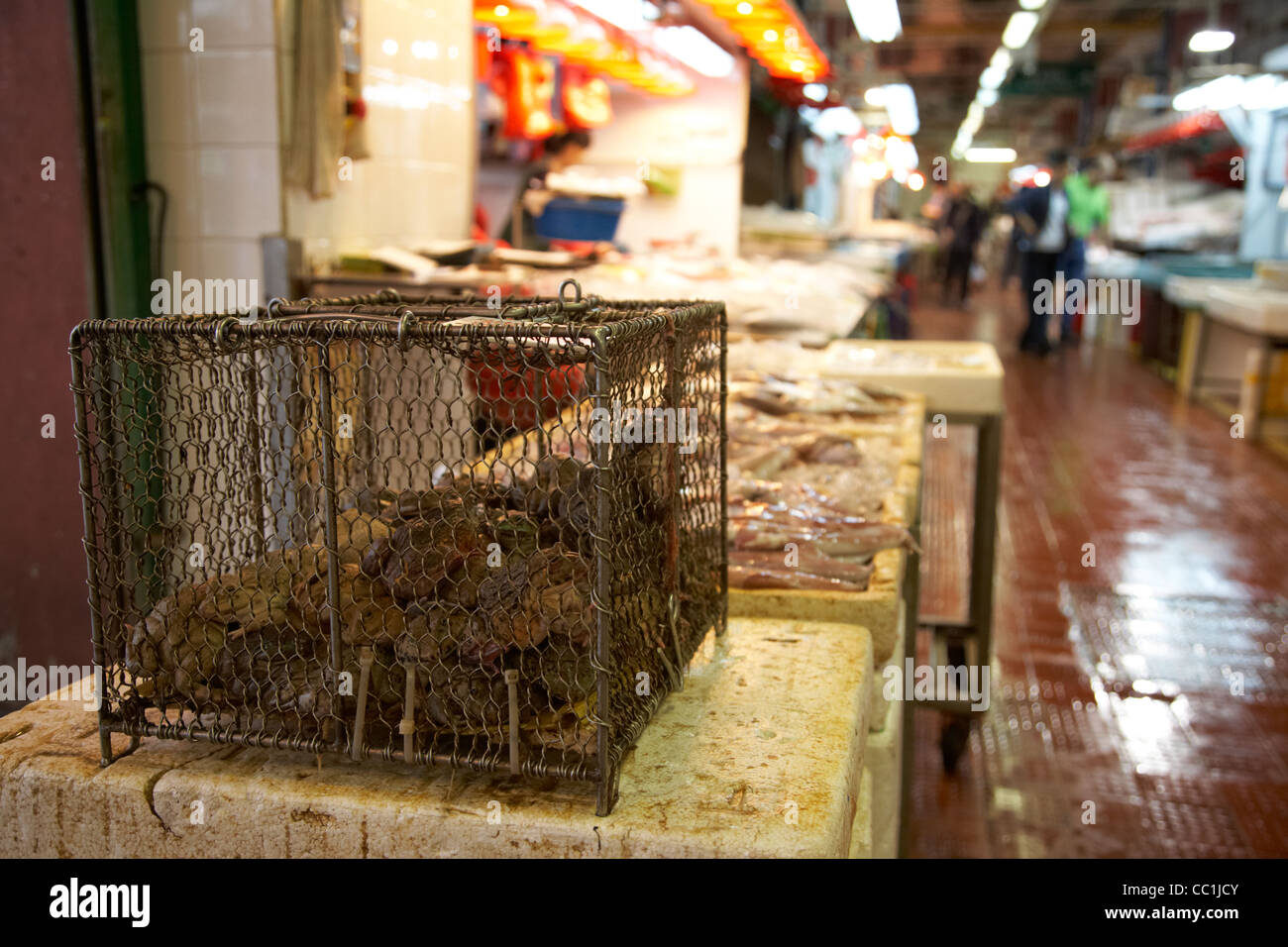 Scatola di rane in vendita Yau Ma Tei indoor mercato alimentare di Kowloon Hong kong RAS di Hong kong cina asia Foto Stock