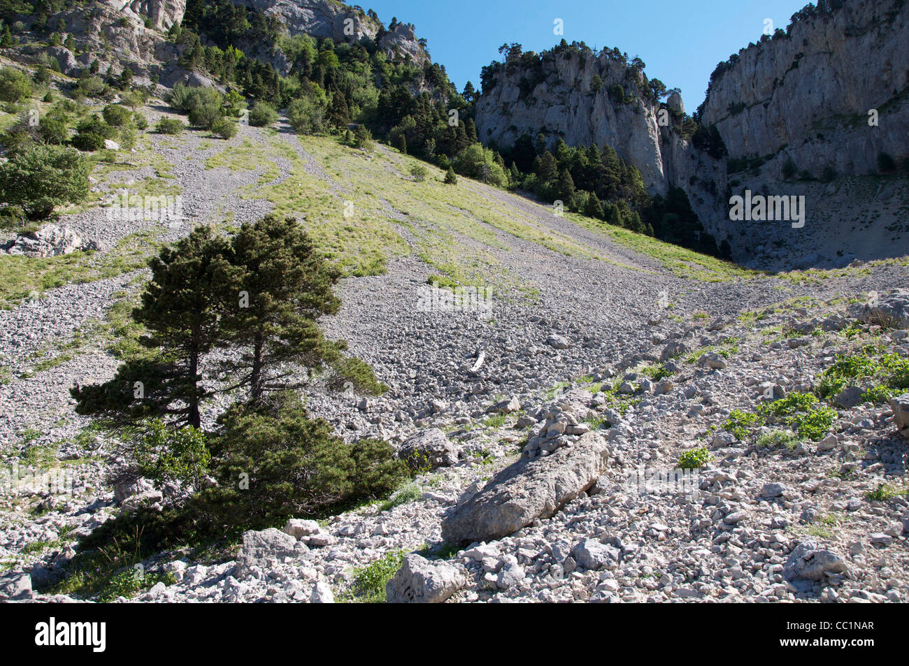 Robusto paesaggio pietroso, con imponenti scogliere calcaree e ghiaioni, al di sotto del bordo dell'altopiano del Vercors in La Drôme. Il sud della Francia. Foto Stock