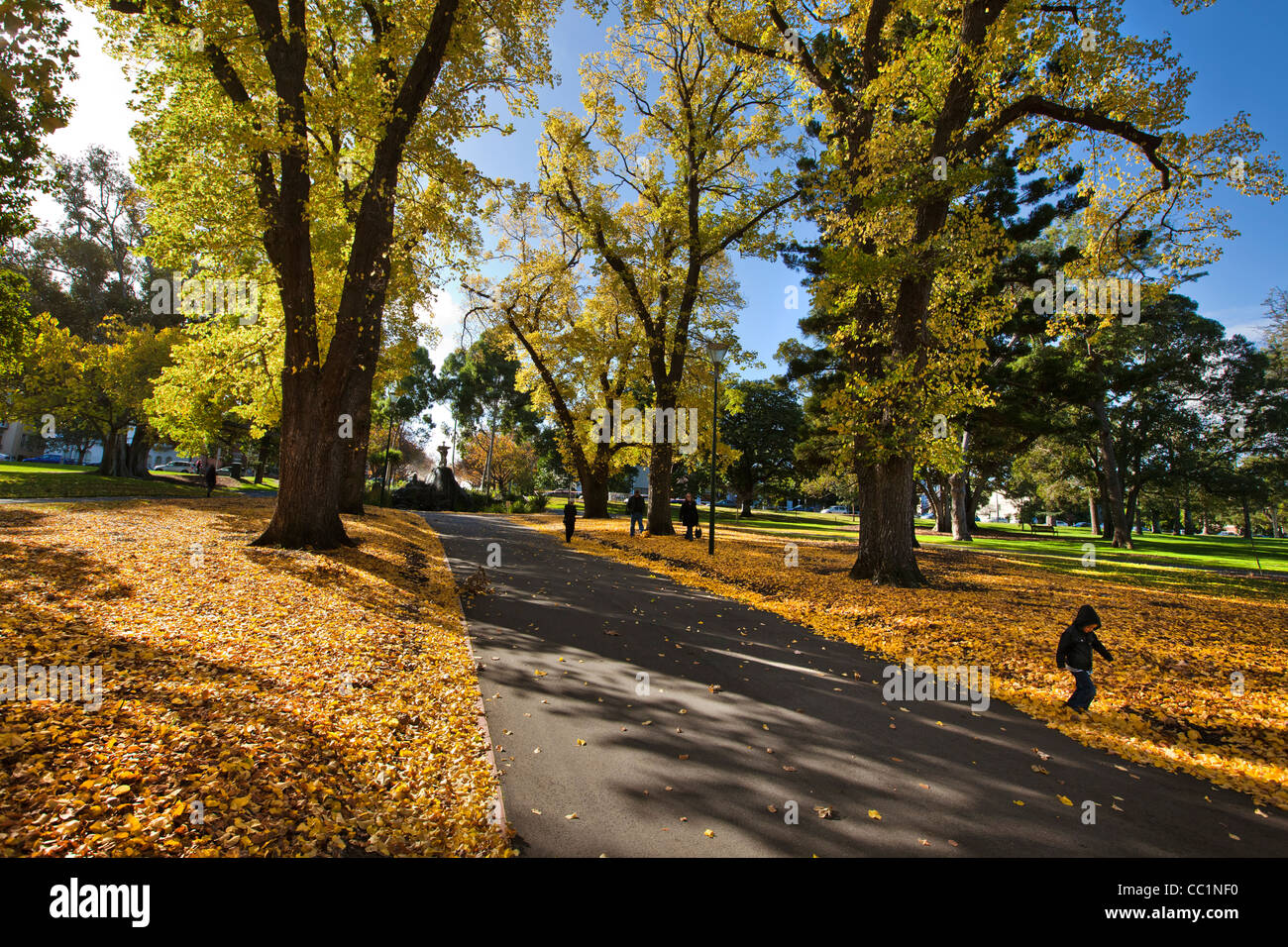 Foglie di autunno e la fontana di Fitzroy Gardens Melbourne Australia area CBD. Una delle molte attrazioni invernali per i turisti. Foto Stock