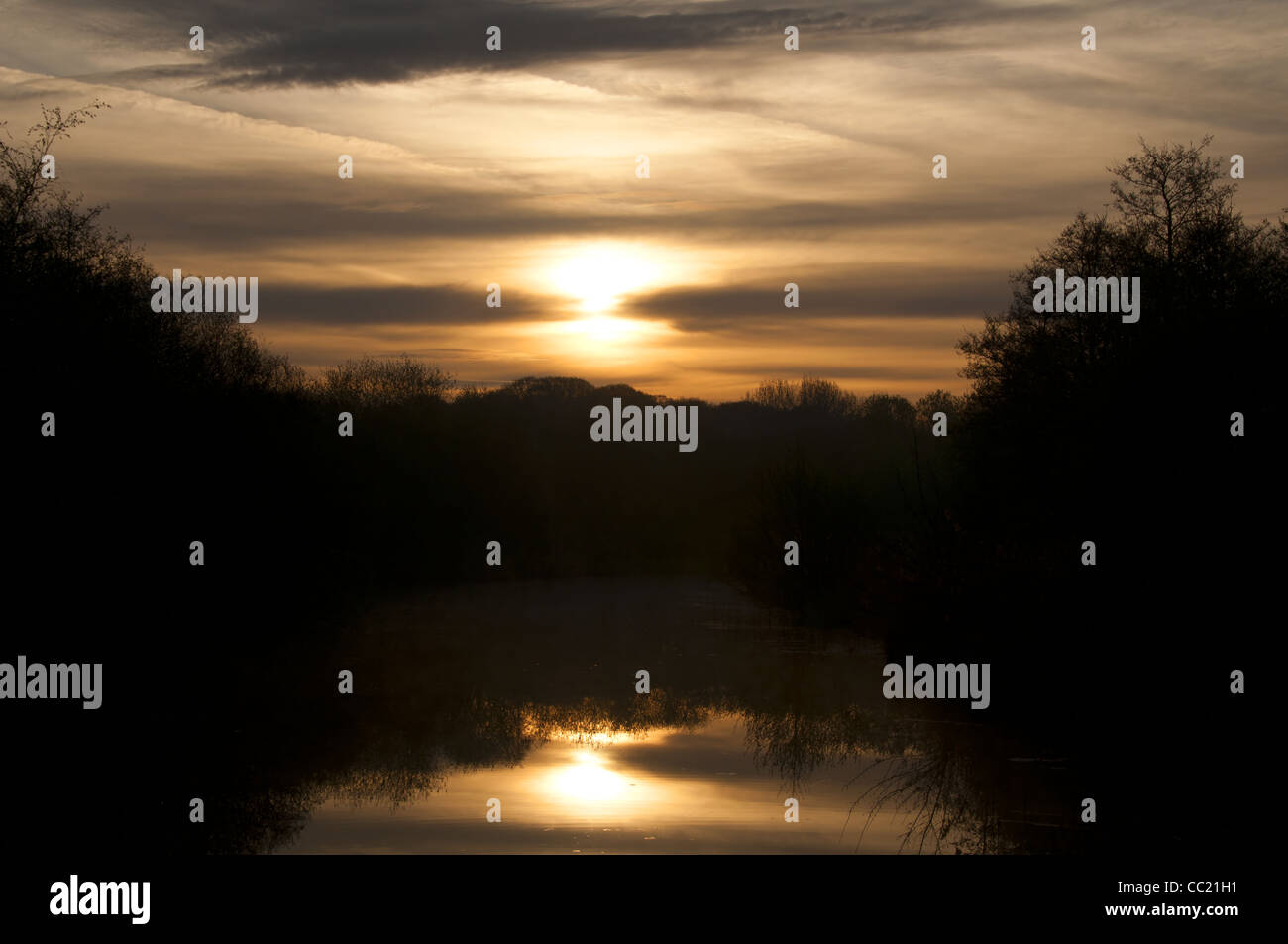 La mattina presto sul fiume ANT. NORFOLK BROADS. Regno Unito Foto Stock