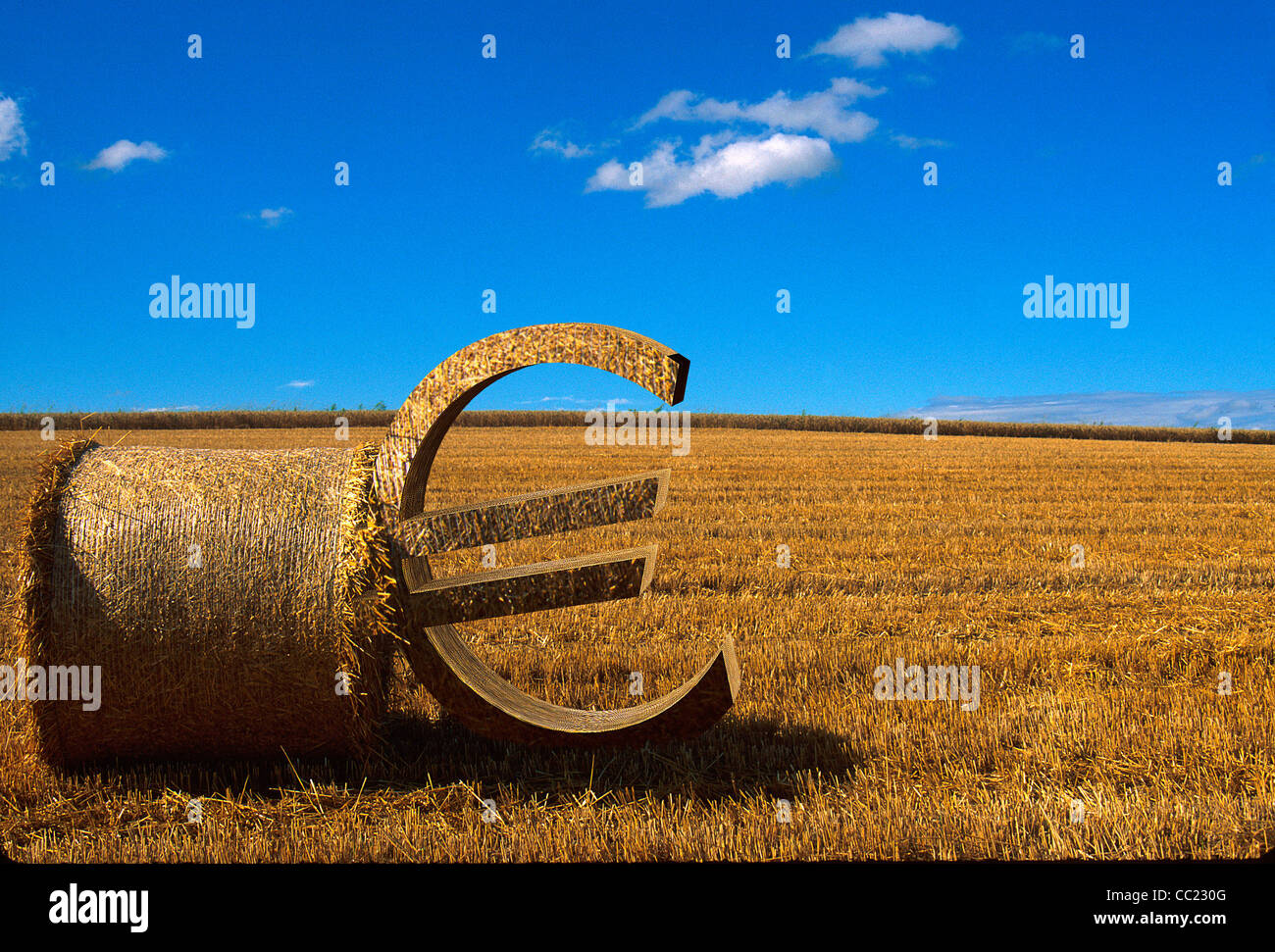 Agricoltura / concetto di agricoltura : Euro segno appoggiata contro una balla di paglia su un raccolto campo di grano Foto Stock