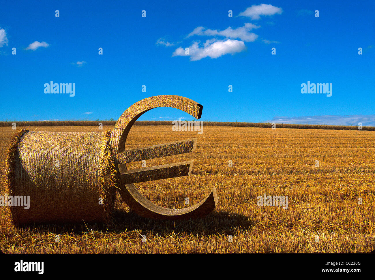 Concetto di agricoltura / agricoltura : il simbolo europeo dell'euro si appoggia contro una balla di paglia su un campo di grano raccolto Foto Stock