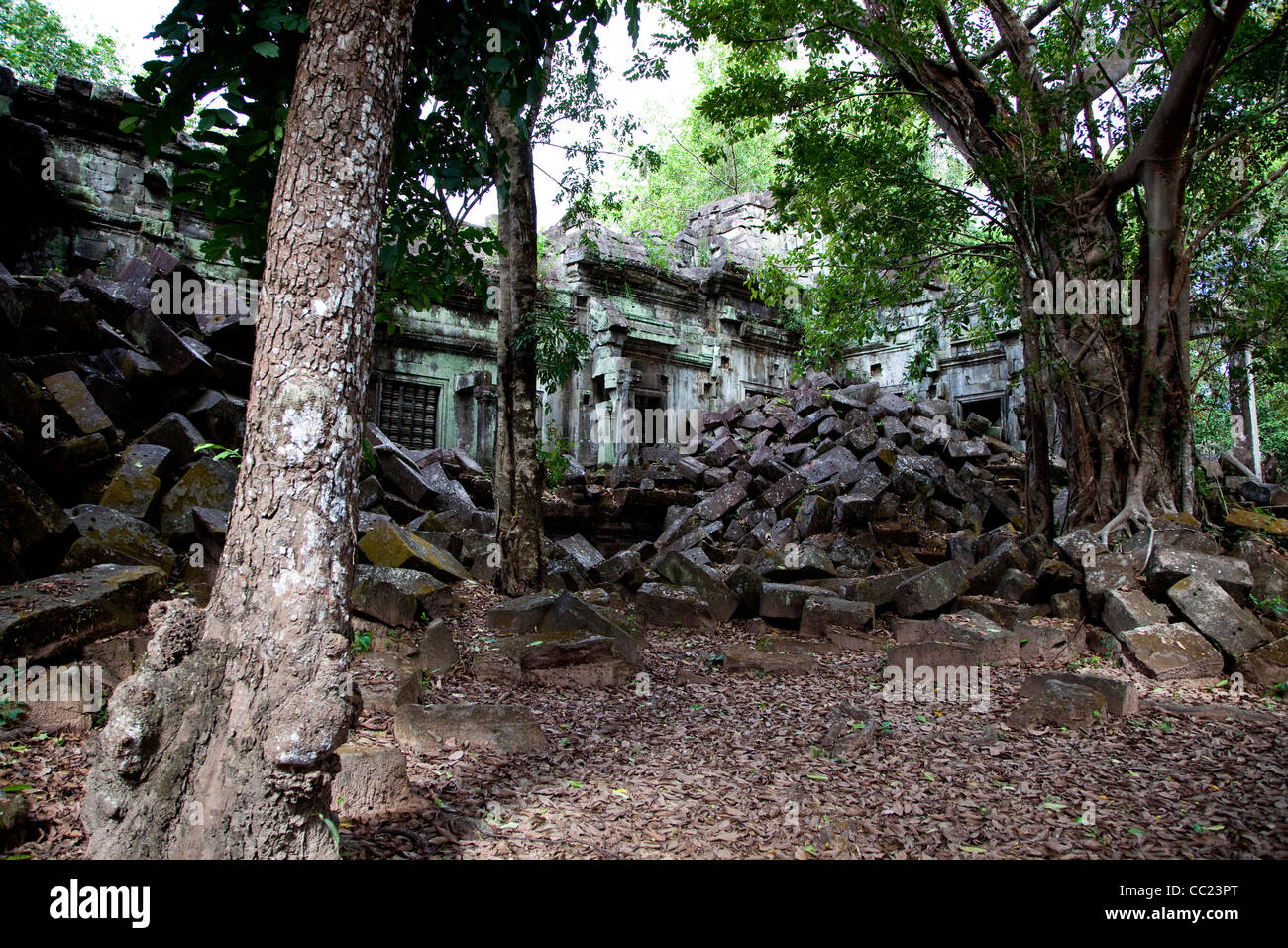 Beng Mealea, tempio di Angkor Wat e stile di attrazione turistica, Area di Angkor, Siem Reap, Cambogia, Asia Foto Stock