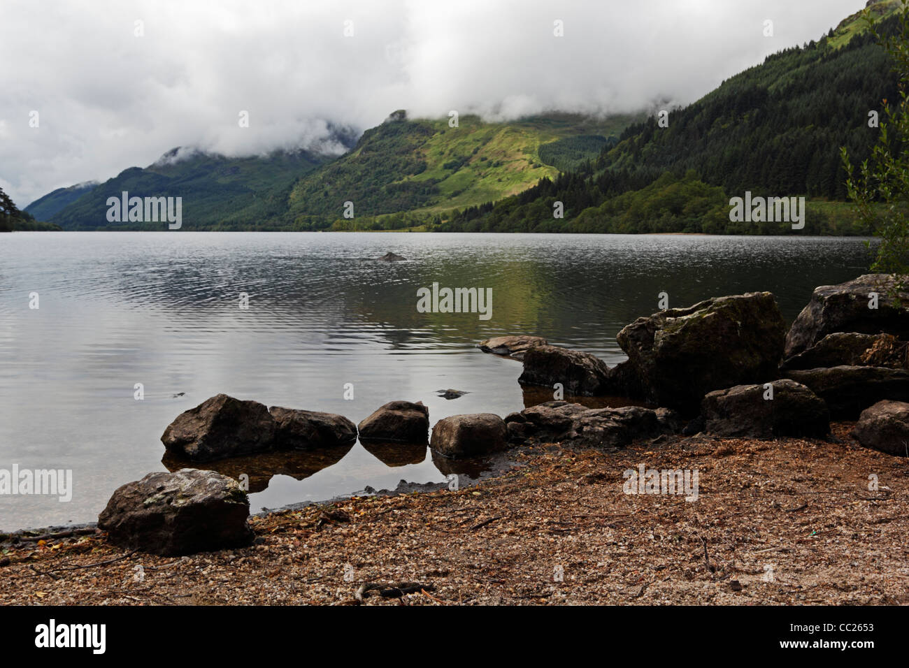 Loch Eck in Argyll Forest Park, Argyl e Bute, Scozia. Foto Stock