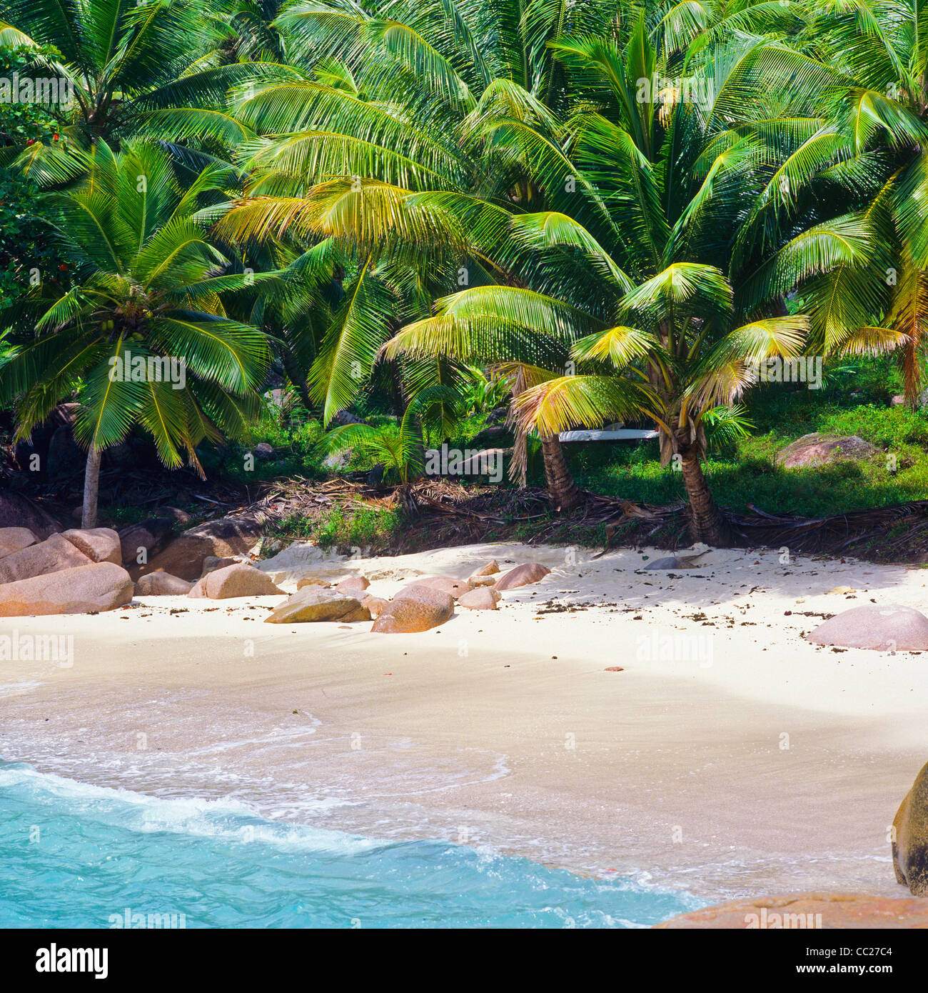 Spiaggia con palme e rocce di granito, Isola di Praslin, Seicelle Foto Stock