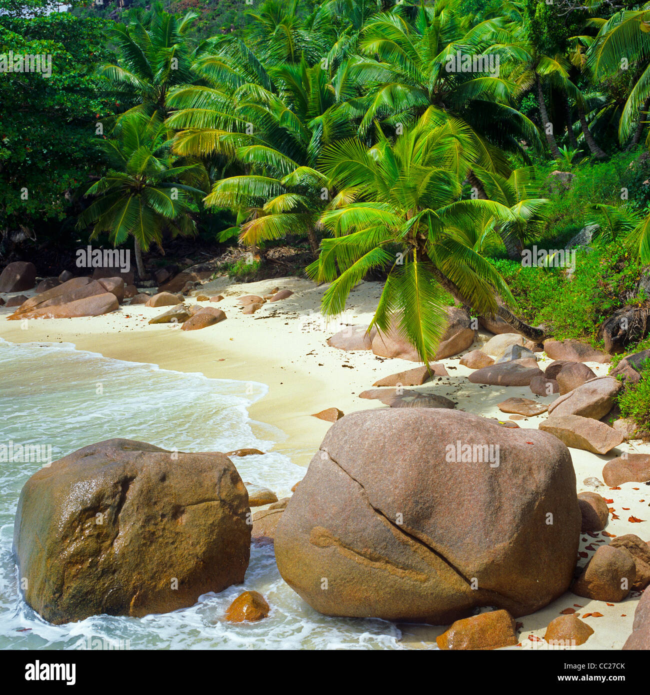 Spiaggia con palme e rocce di granito, Isola di Praslin, Seicelle Foto Stock