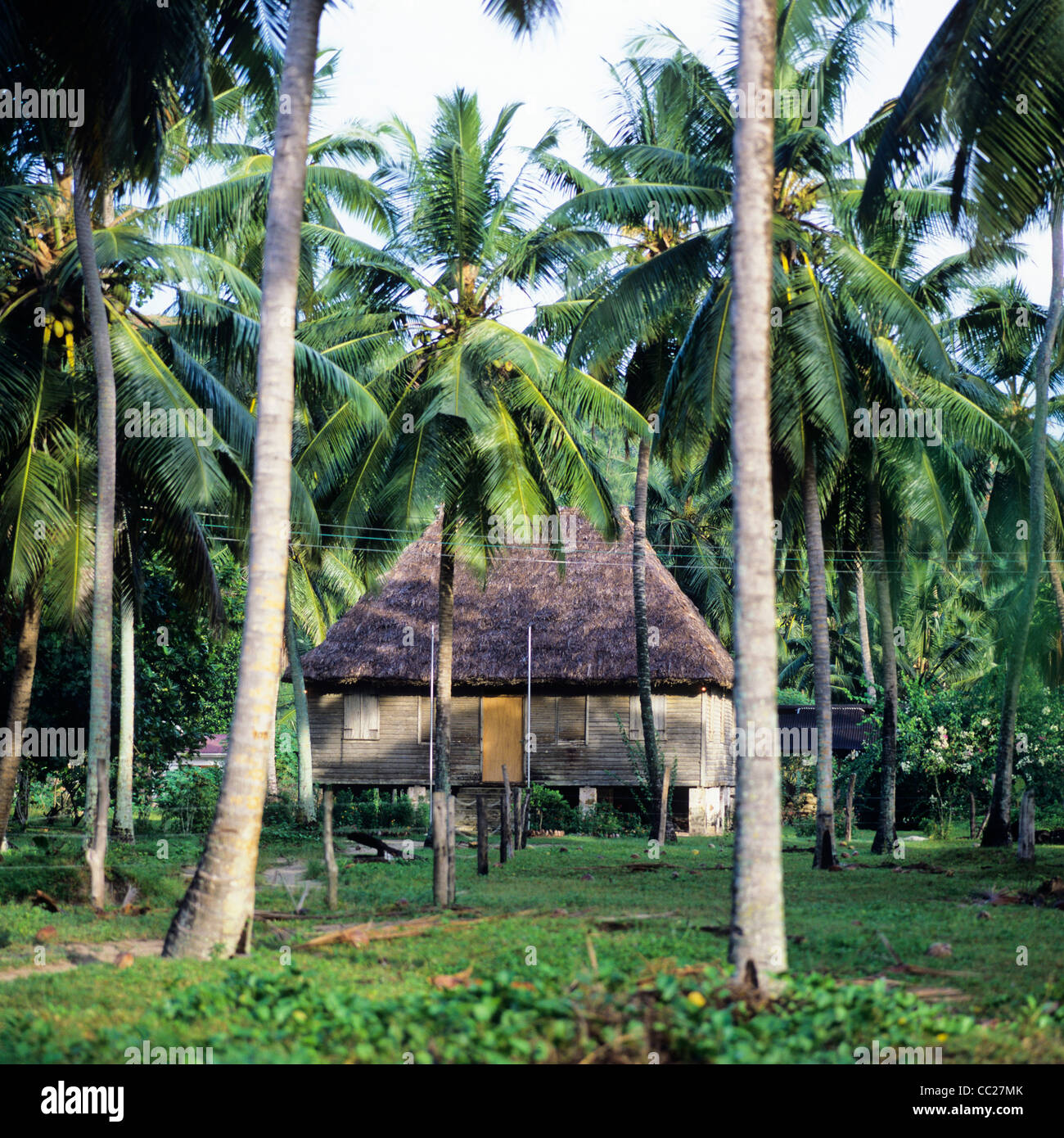 Casa Tradizionale su palafitte, Palm tree grove, Isola di Praslin, Seicelle Foto Stock