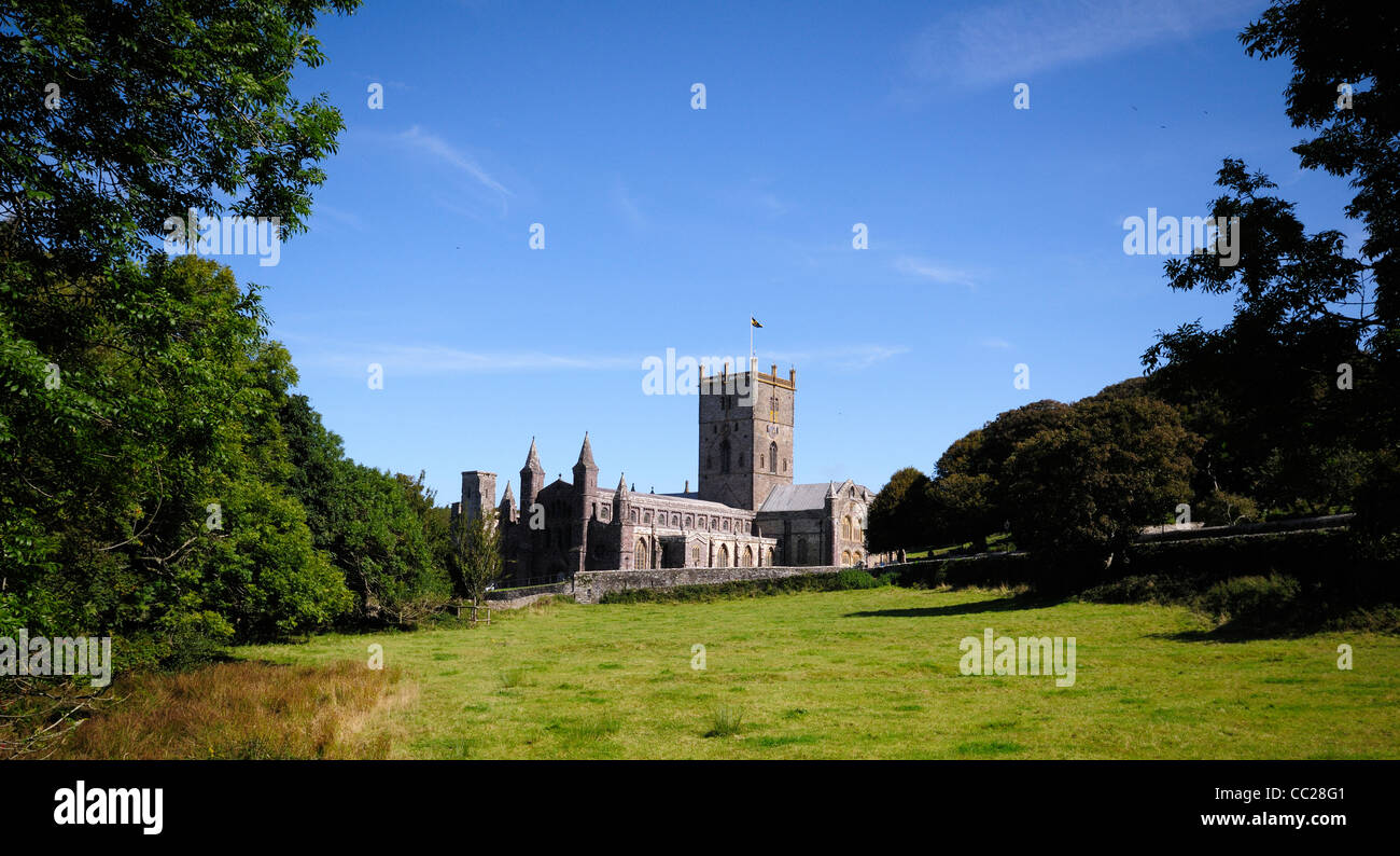 St David's cattedrale della città di St David's in Galles incorniciate tra un campo, cielo blu e gli alberi su una tarda estate del giorno. Foto Stock