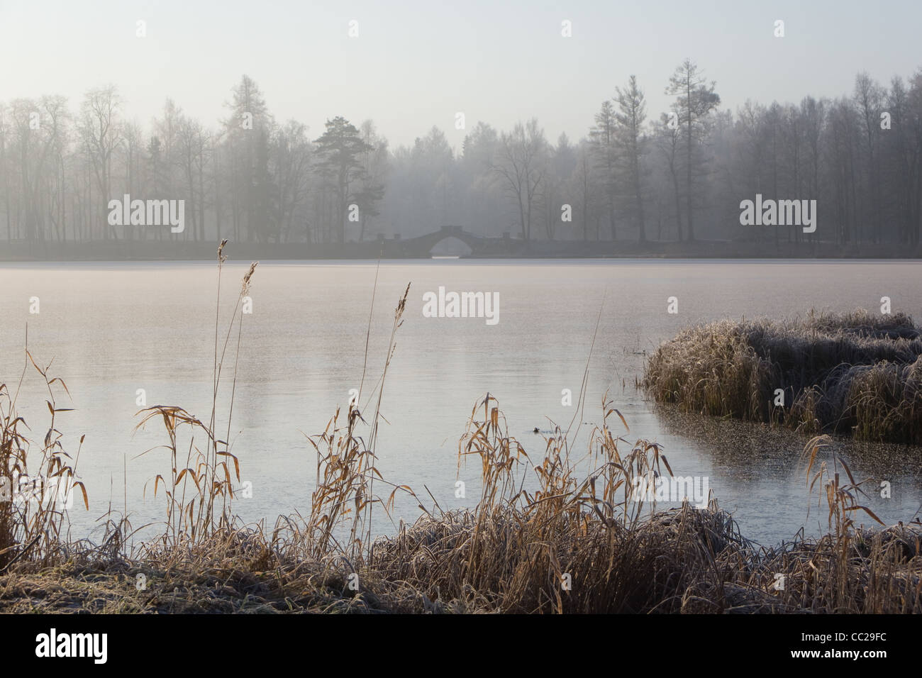 Lago Bianco, Parco del Palazzo Gatchina,, l'oblast di Leningrado, Russia. Foto Stock