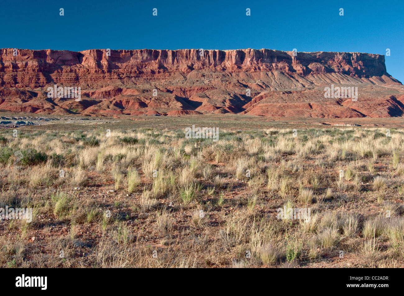 Paria Plateau scarpata al tramonto, Vermilion Cliffs National Monument, Arizona, Stati Uniti Foto Stock