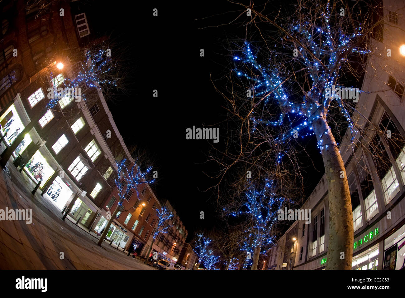 Fisheye sparato di colore blu abbastanza luci negli alberi in Parliament Street, York, Regno Unito Foto Stock