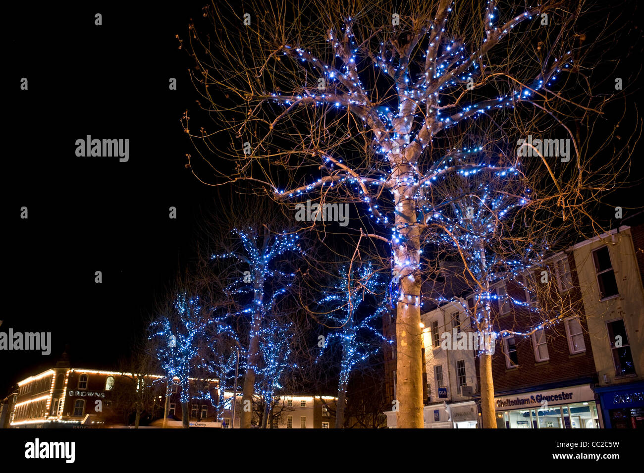 Luci di pisello in alberi, Parlamento Street, York, Regno Unito Foto Stock