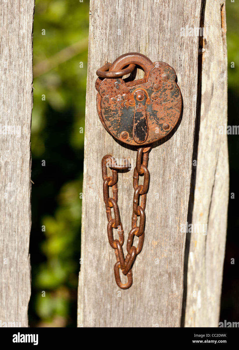 Vecchio arrugginito lucchetto a catena e il fissaggio di un cancello del giardino Foto Stock