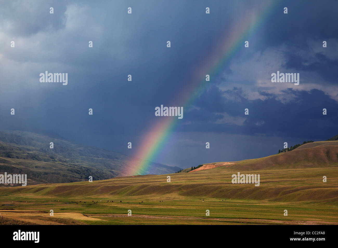 Rainbow dopo la tempesta nelle montagne della regione di Almaty parco nazionale Assy Foto Stock