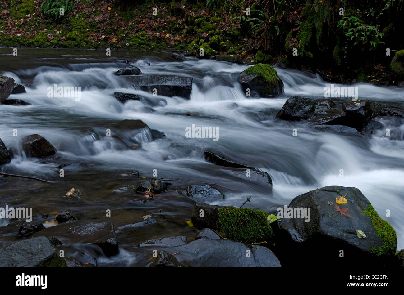 Di seguito Stream Bridal Veil Falls in Columbia River Gorge Foto Stock