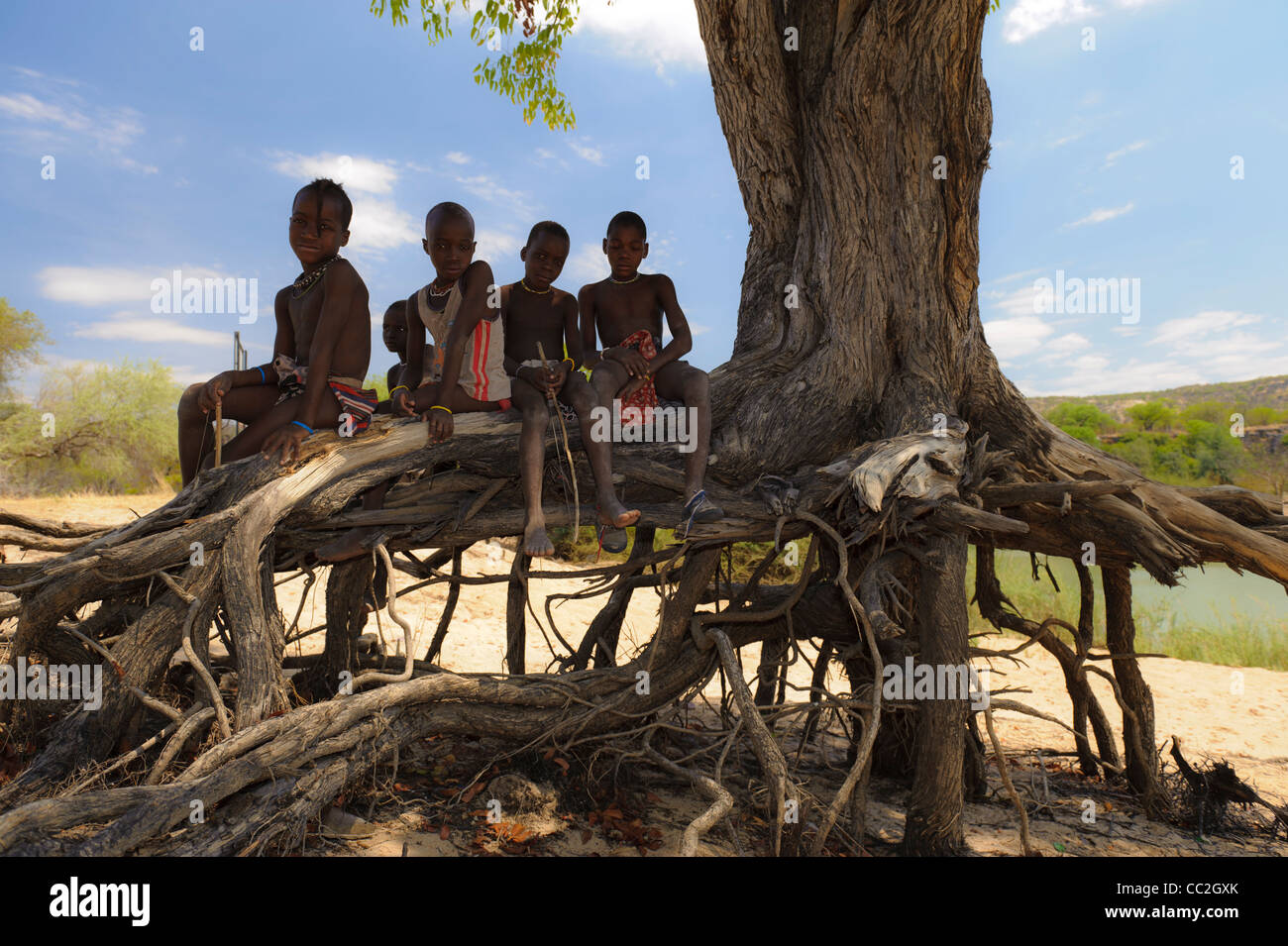 Giovani ragazzi Himba seduti sulle radici di un albero vicino a Ruacana Falls, Kaokoland, Namibia. Foto Stock