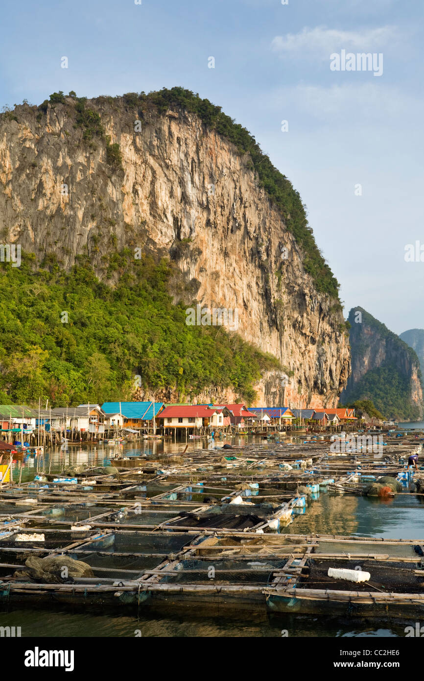 Le penne di pesce presso i musulmani del villaggio di pesca di Ko Panyi. Ko Panyi, Phang-Nga, Thailandia Foto Stock