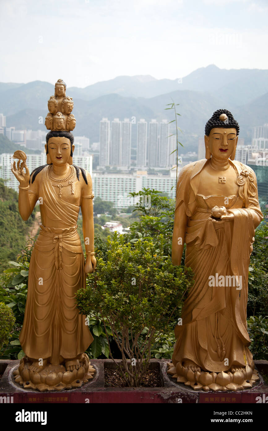 Golden Statue di Buddha femmina con vista Hong Kong il Monastero dei Diecimila Buddha - uomo grasso Tsz - tempio buddista in Sha Tin Foto Stock