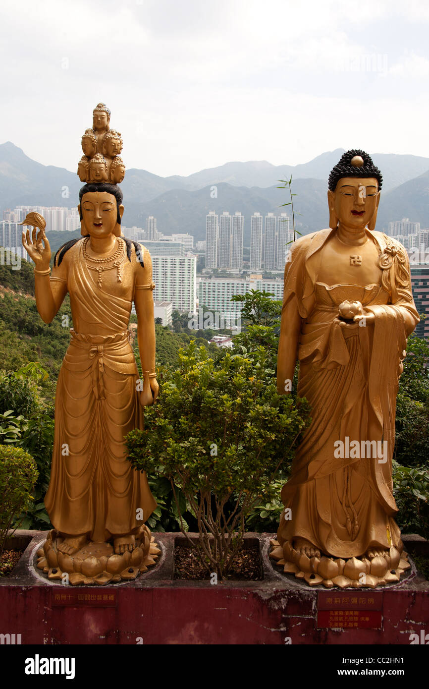 Golden Statue di Buddha femmina con vista Hong Kong il Monastero dei Diecimila Buddha - uomo grasso Tsz - tempio buddista in Sha Tin Foto Stock