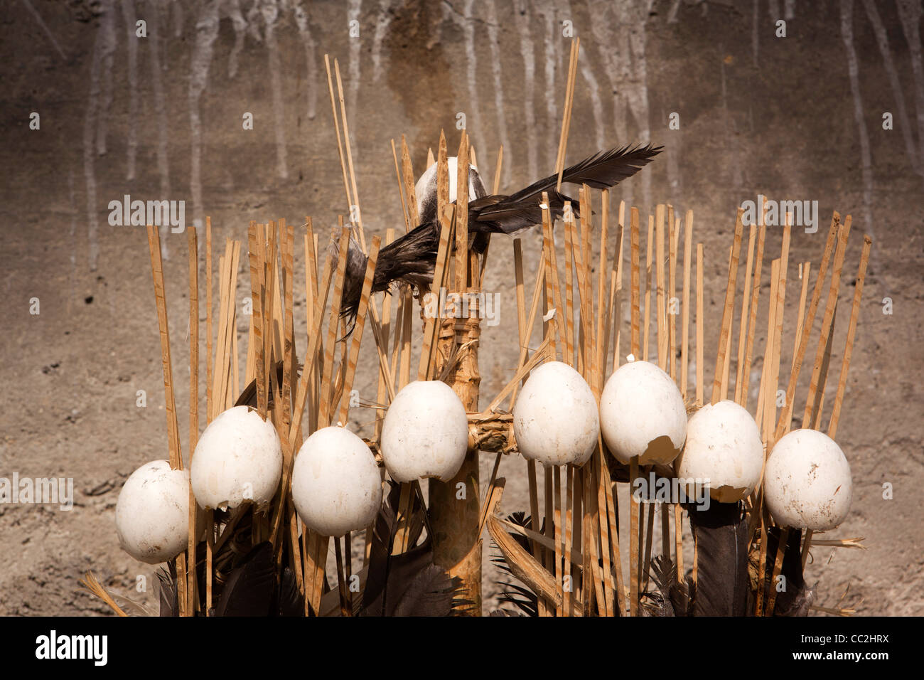 India, Arunachal Pradesh, Ziro, tradizionale apatani uovo e piuma totem tribali ricordando parente morto Foto Stock