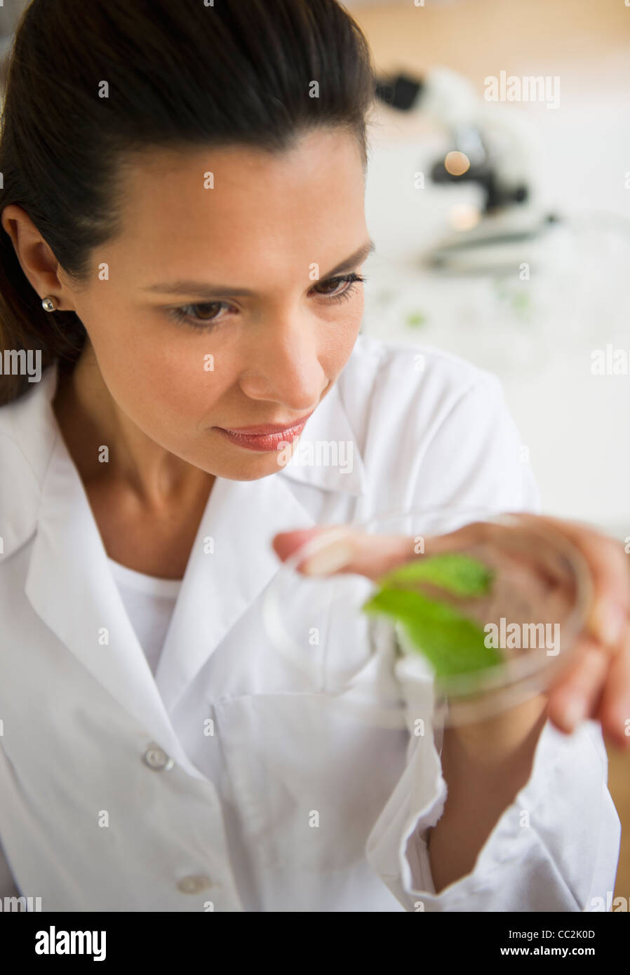 Stati Uniti d'America, New Jersey, Jersey City, donna scienziato esaminando il campione Foto Stock