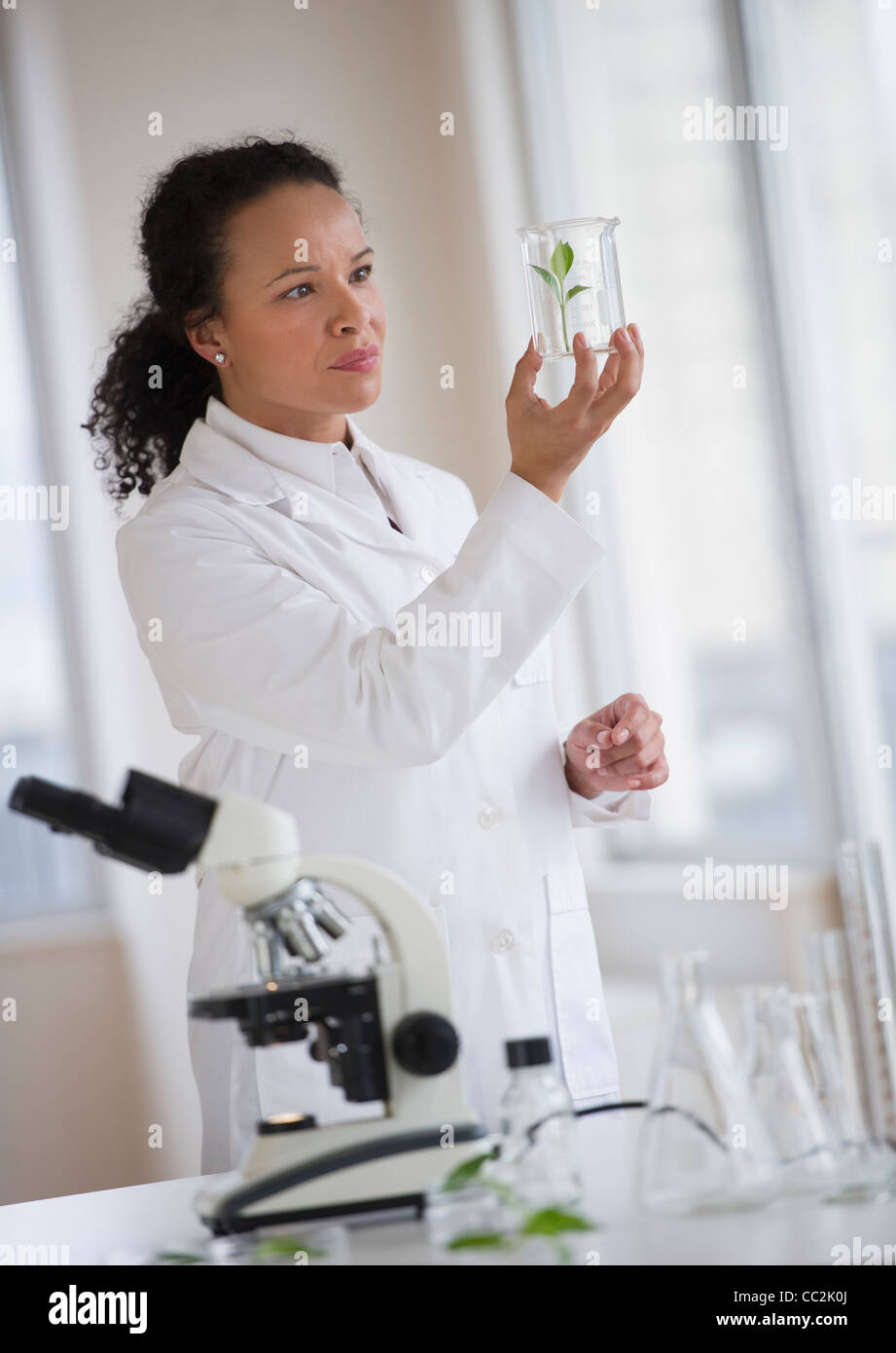 Stati Uniti d'America, New Jersey, Jersey City, donna scienziato esaminando il campione Foto Stock